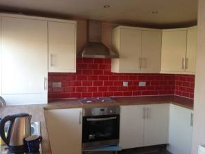 14590299_802716349876877_6658636723354705600_n