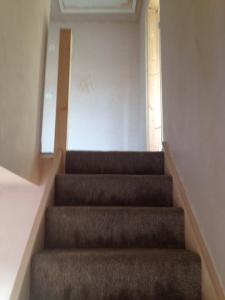 14695529_802716603210185_4540967285956734850_n